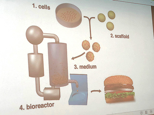 A slide shown at a Food and Drug Administration hearing Thursday explains how cell-cultured proteins are produced. (DTN photo by Chris Clayton)